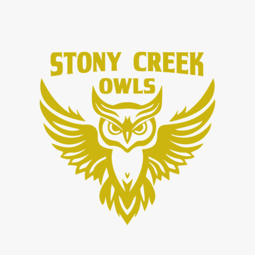 School Owls 04 Thumbnail