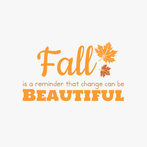 Fall Season 32 Thumbnail